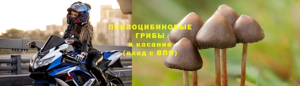 мяу мяу мука Каменка