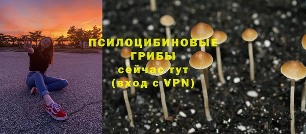 мяу мяу мука Каменка
